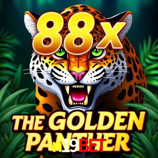 Sports Statistics n19bet